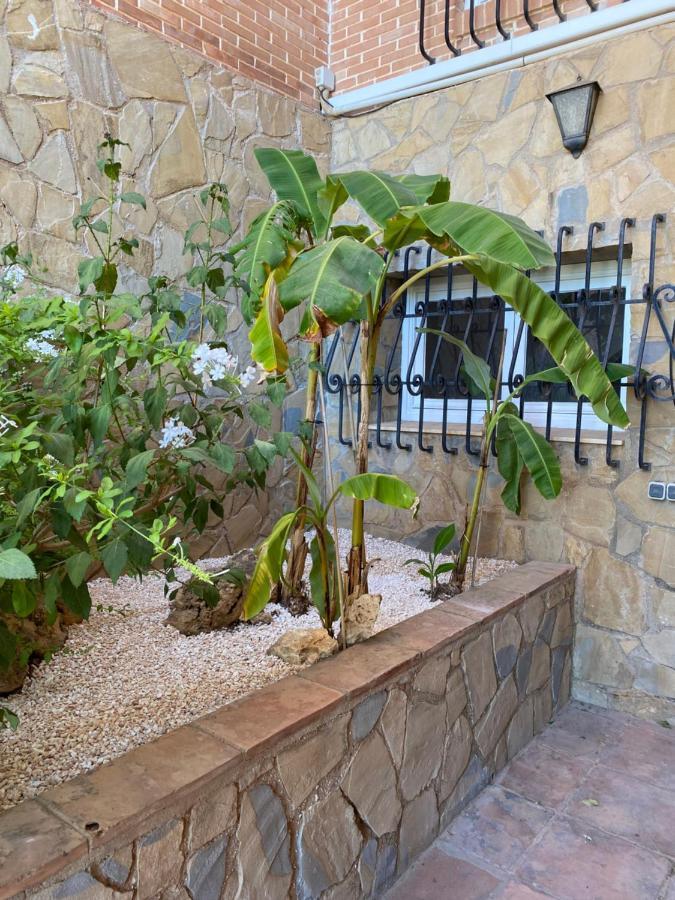 Botánica Alojamento de Acomodação e Pequeno-almoço